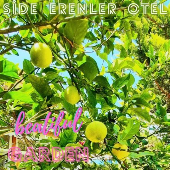 Side Erenler Hotel Kültér fotó
