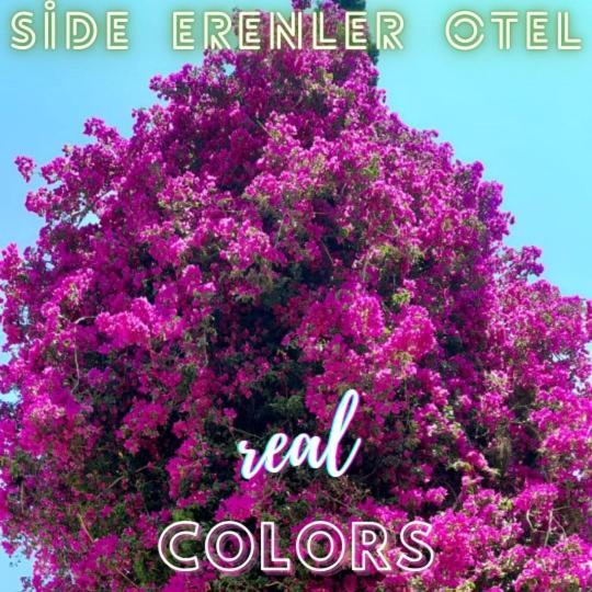 Side Erenler Hotel Kültér fotó